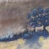 Florence paysage pastel 06 2026