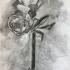 Marion roses fusain 04 2023