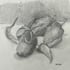 Michèle légumes d'été crayon 22 09 2026