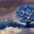 Mireille paysage pastel 06 2026