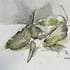 Nicole légumes d'été aquarelle 22 09 2026